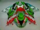 Best ZX6R 2009-2012 - Rosso Verde Motocard
