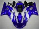 Best R6 1998-2002 - Bianco Blu