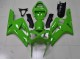 Best ZX6R 2003-2004 - Verde Best ZX6R 2003-2004 - Verde